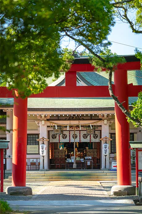 公式】羽田八幡宮｜愛知県豊橋市